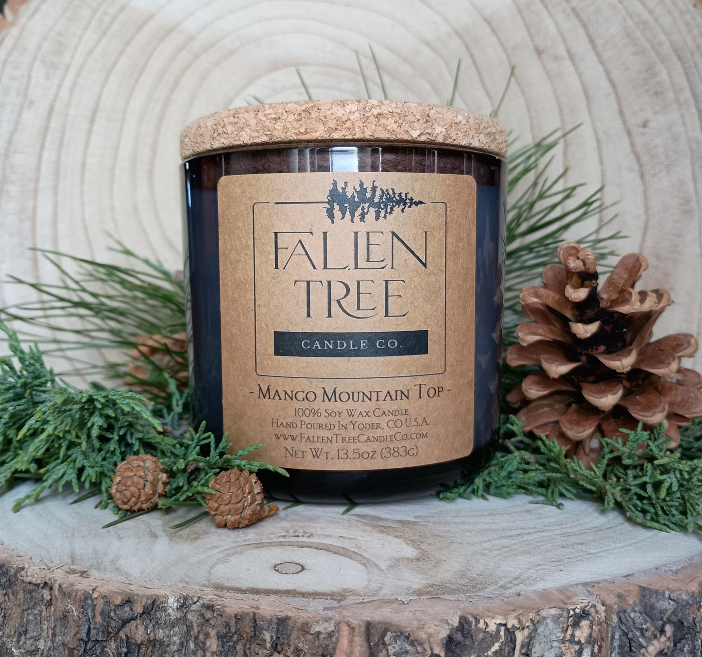 13.5 oz Mango Mountain Top